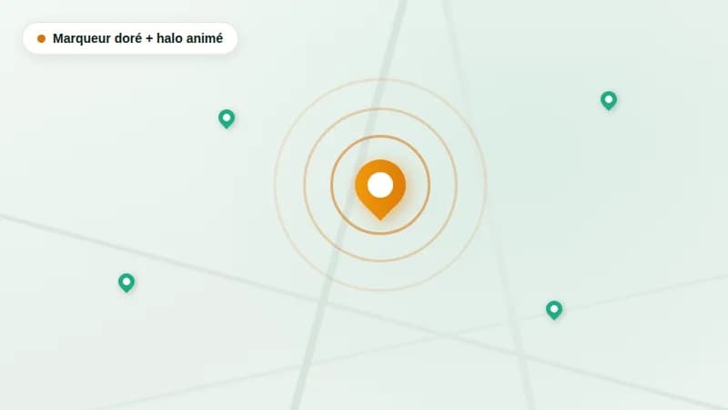 Aperçu : marqueur mis en avant avec halo animé sur la carte